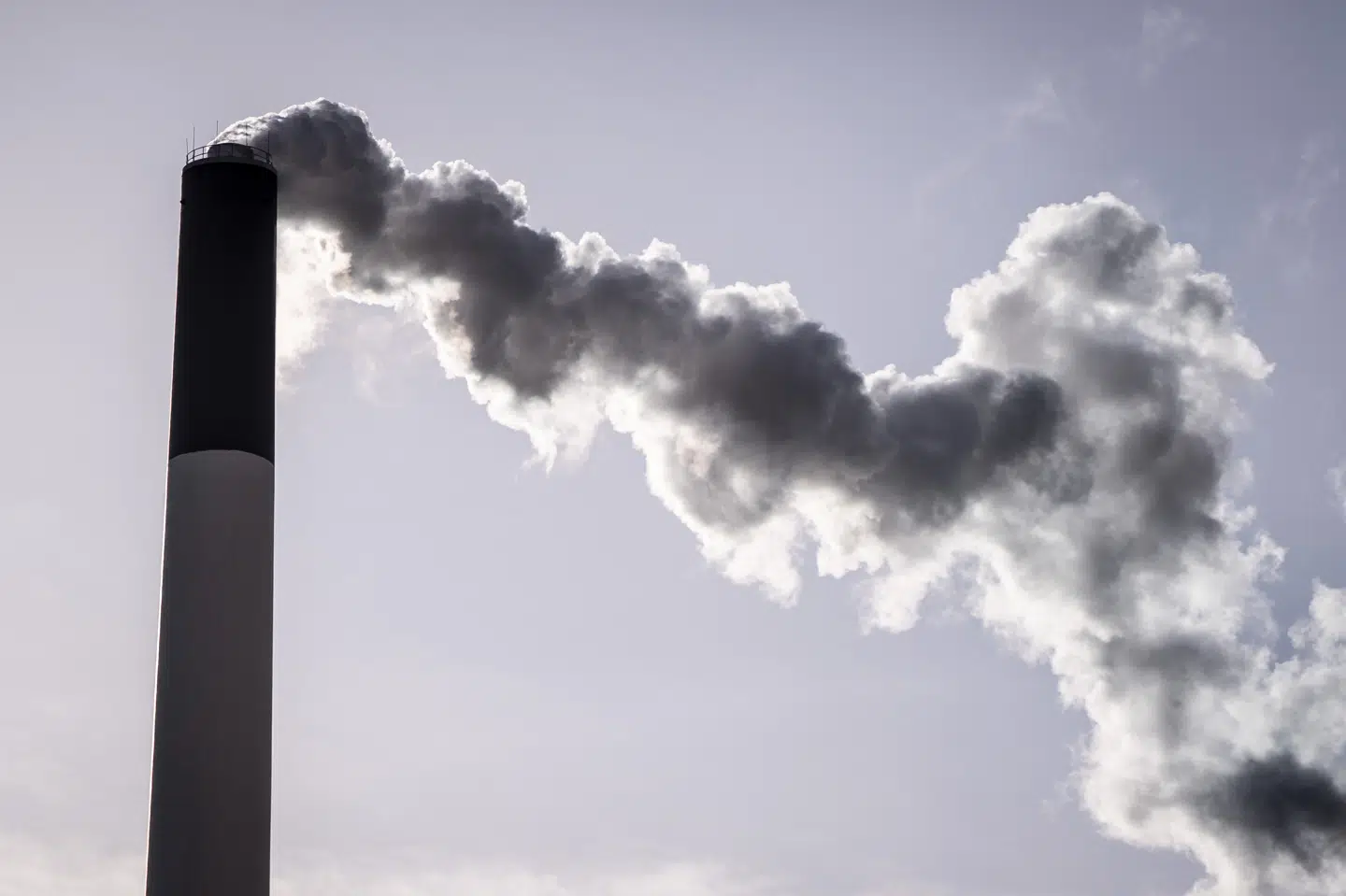 CO2 fra røgen på flere kommunale forbrændingsanlæg vil alligevel ikke blive fjernet. Det står klart, efter at flere selskaber har trukket deres projekter til en statslig støttepulje for CO2-fangst. (Arkivfoto).