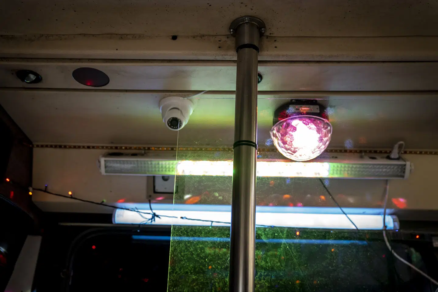 I 2021 kunne Ishøjs borgere få foretaget covid-19-test i en partybus. I weekenden måtte flere partybusser til syn efter politiets kontrol i forbindelse med en af de store julefrokostweekender. (Arkivfoto).