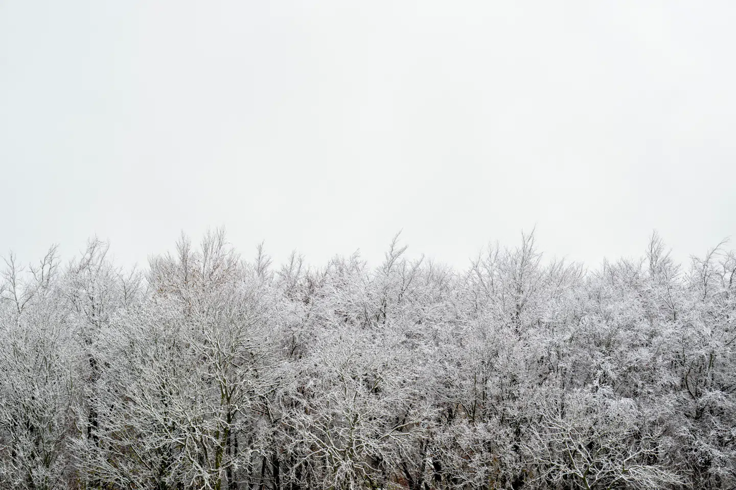 Der er intet i vejret, der tyder på, at det bliver særligt julet den kommende tid.