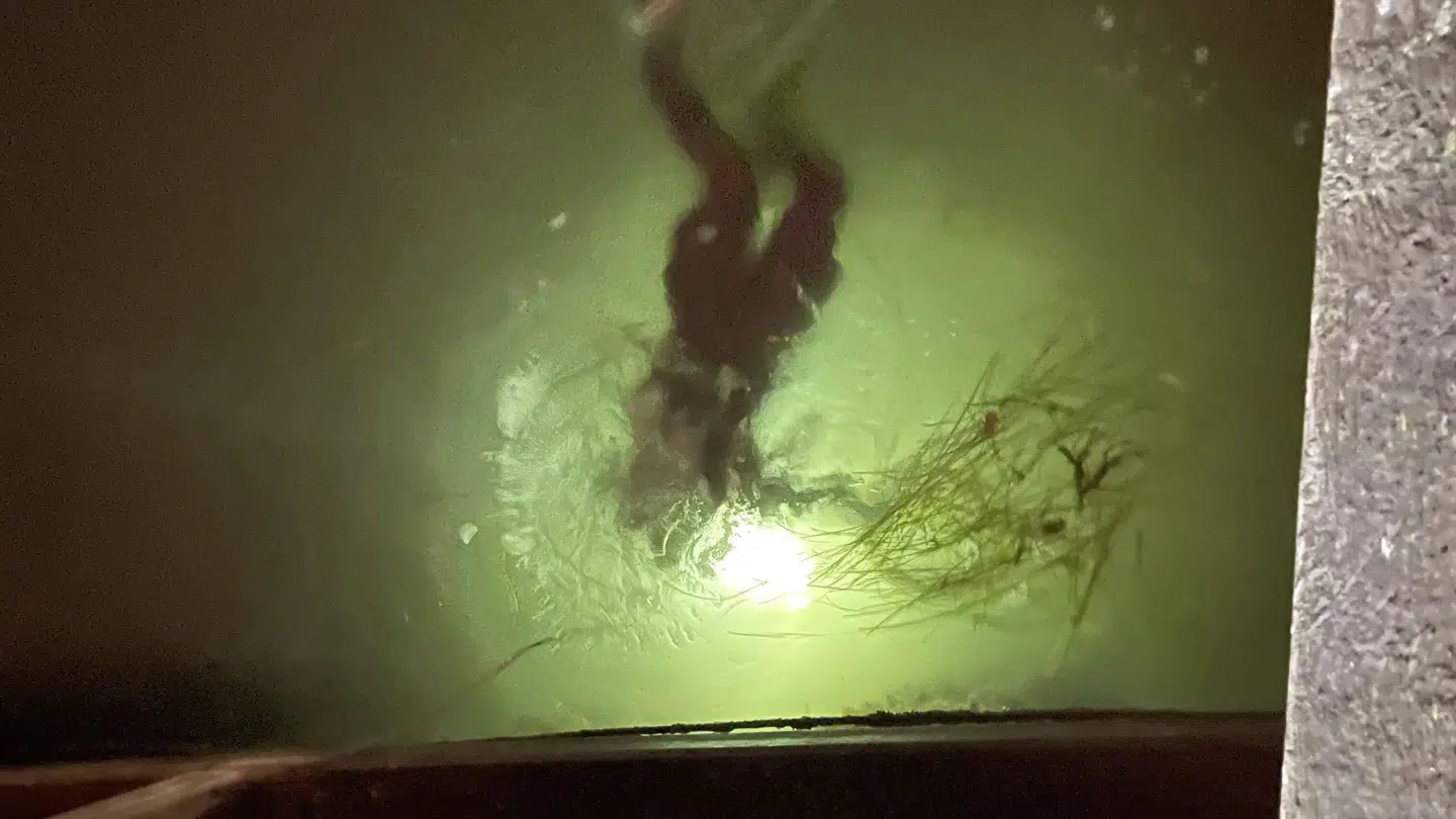 Her ses et billede fra en øvelse.