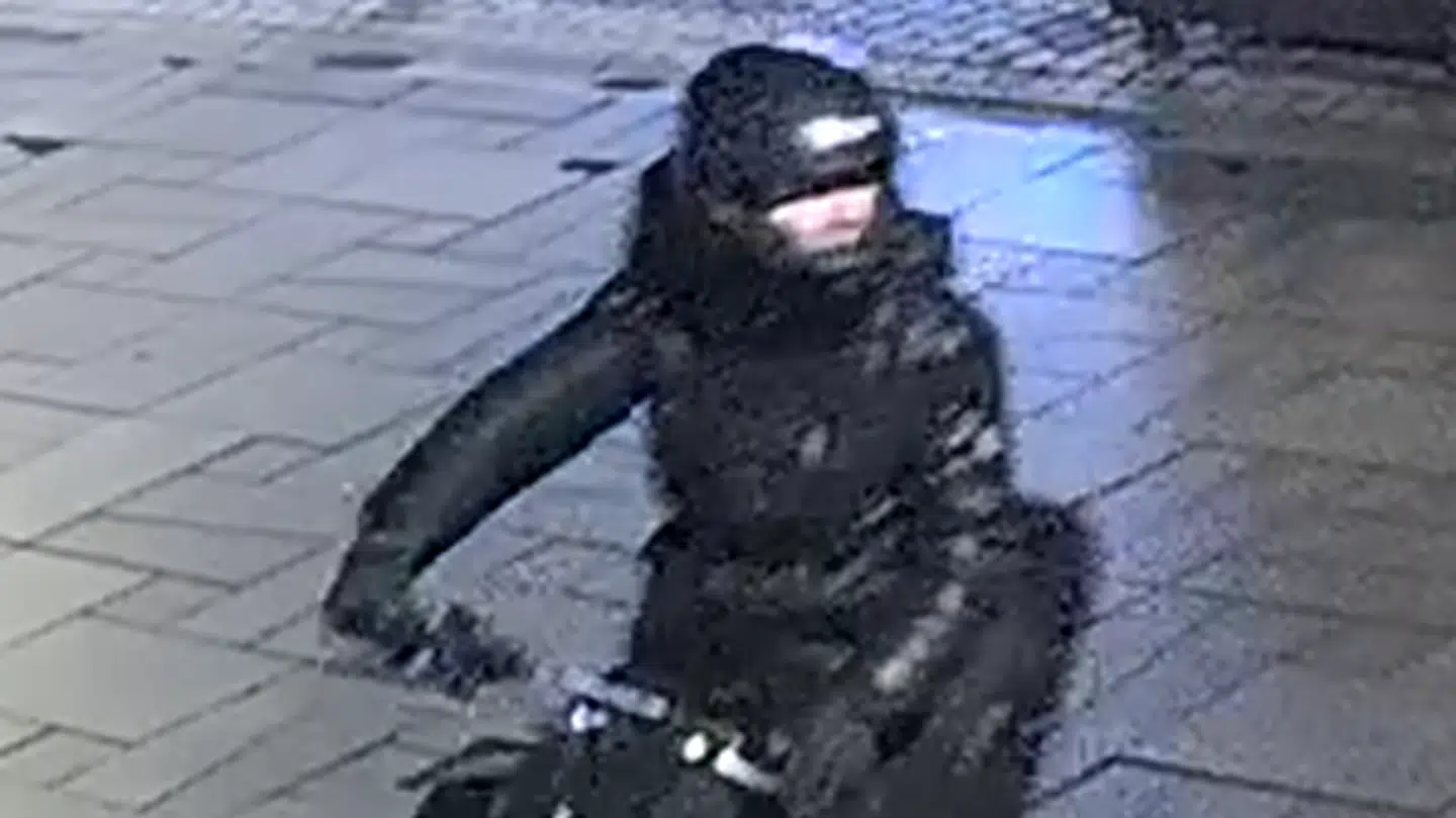 Politiet beder om hjælp til at finde en række gerningsmænd.