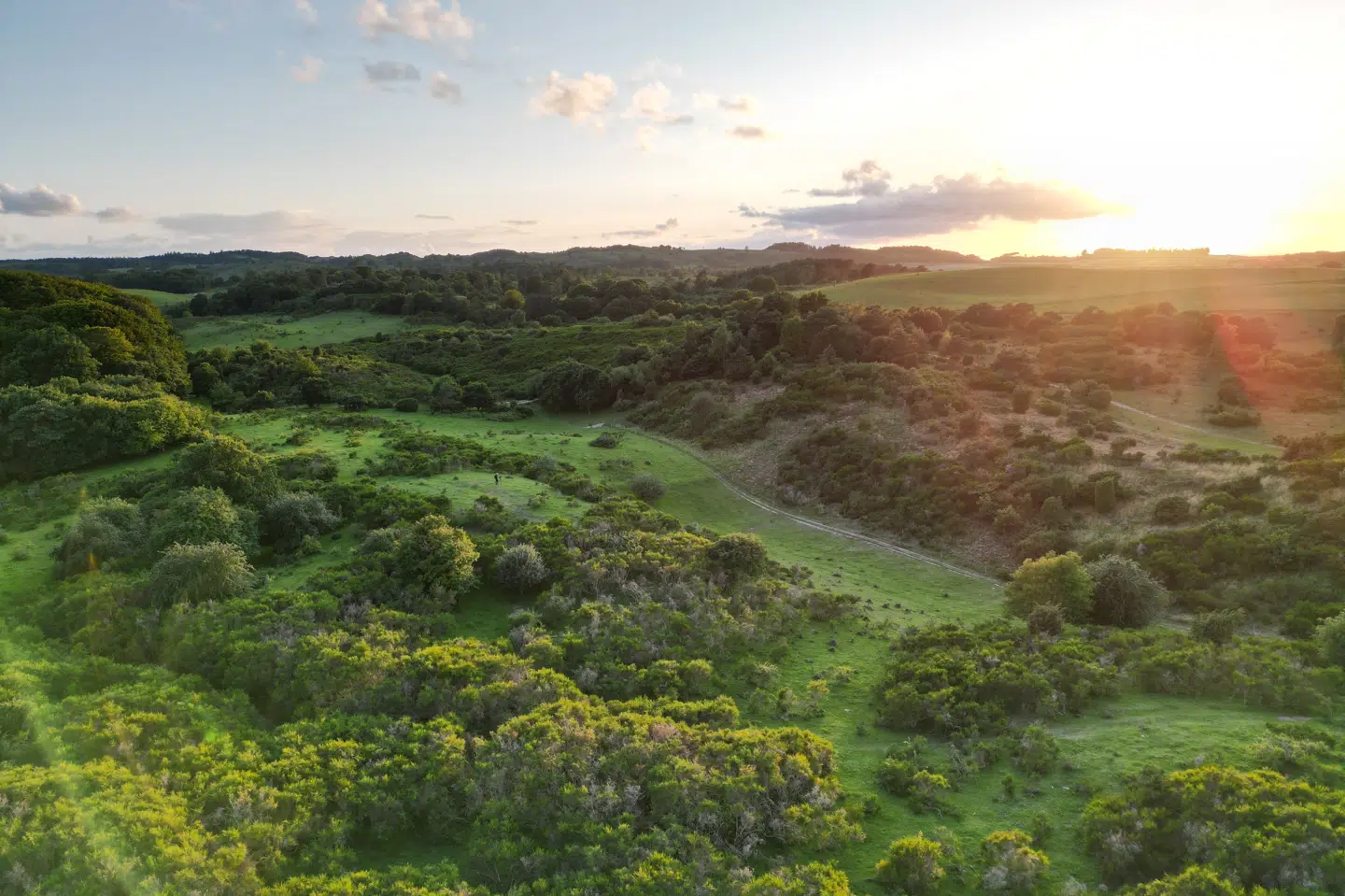 Hempel Fonden ejer og driver allerede Saksfjed Vildmark. Med købet af Molslaboratoriet, som ses på billedet, den yderste del af Asnæs-halvøen og Nørholm Gods etableres Vildmarken, der skal fungere som en hub for naturgenopretning. (PR-foto).