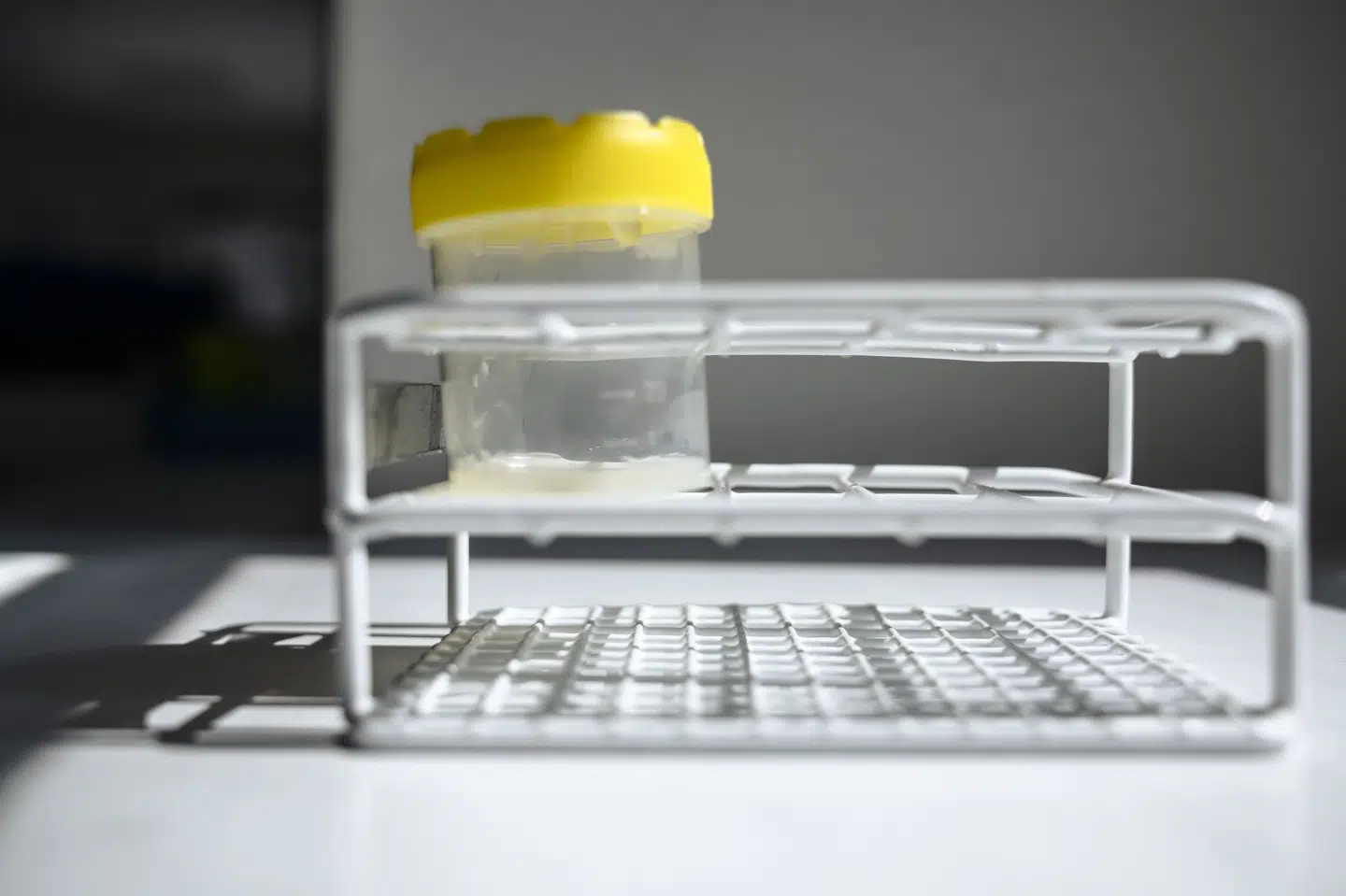 Dansk donorsæd med alvorlig genmutation er blevet solgt til 67 klinikker i 14 forskellige lande, skriver DR. (Arkivfoto).