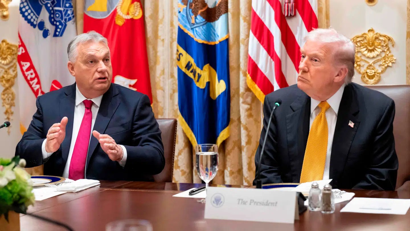 I starten af november mødes Donald Trump med Ungarns premierminister, Viktor Orban i Det Hvide Hus.