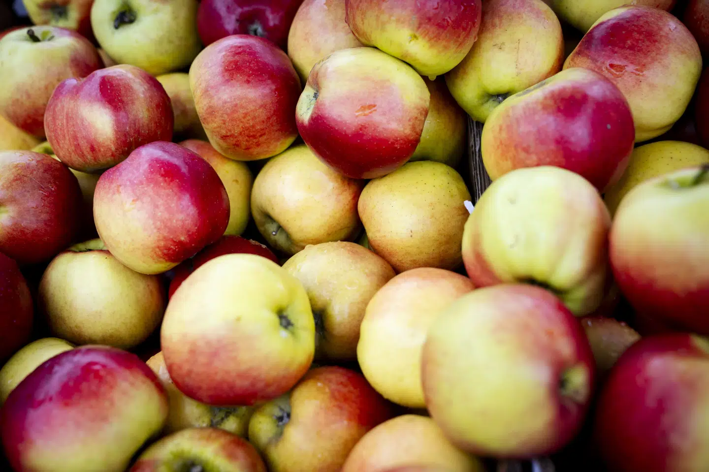 Fødevarestyrelsen anbefaler at spise 600 gram frugt og grønt om dagen. Og det er der god grund til at følge, understreger styrelsen efter stikprøver af dansk frugt og grønt. (Arkivfoto).