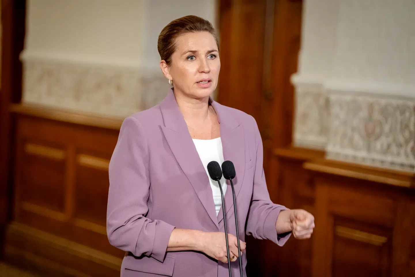 27 regeringer bakker nu Danmark og Italien op om en usædvanlig skarp kritik af menneskerettighedsdomstolen.