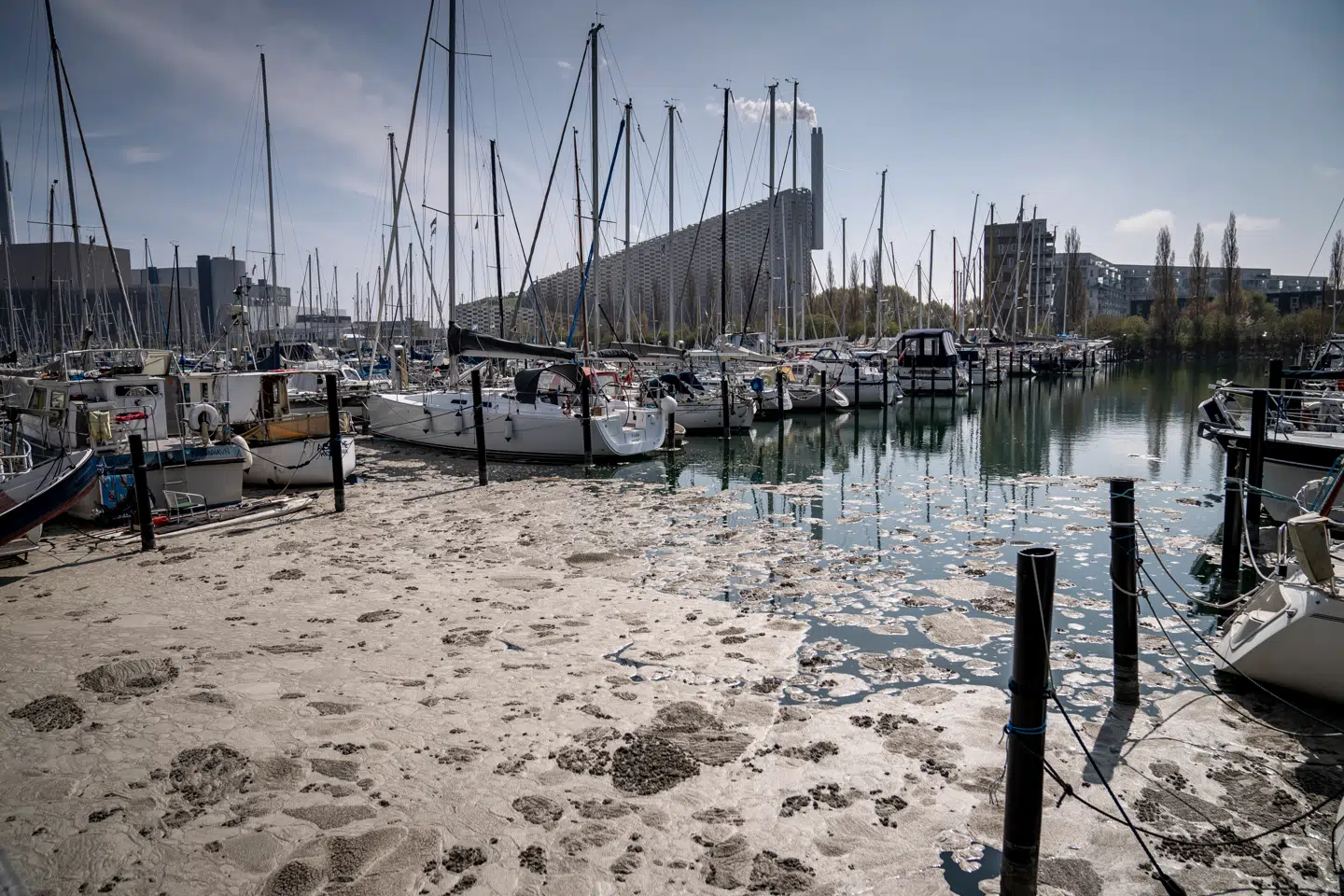 Afvigelser og overskridelser, der ikke opdages rettidigt, er ofte er det første tegn på, at man har mistet kontrol med et anlæg, lyder det fra Lea Gram Jacobi, der er bestyrelsesmedlem i Danmarks Naturfredningsforening Gentofte, og Ole Damsgaard, der er næstformand i Danmarks Naturfredningsforening København. Arkivfoto: Mads Claus Rasmussen/Ritzau Scanpix