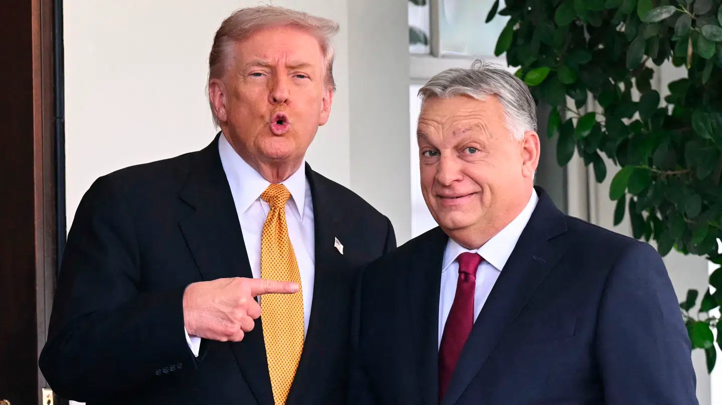 Viktor Orbán på besøg hos Donald Trump i Det Hvide Hus i Washington, DC, i november sidste år.