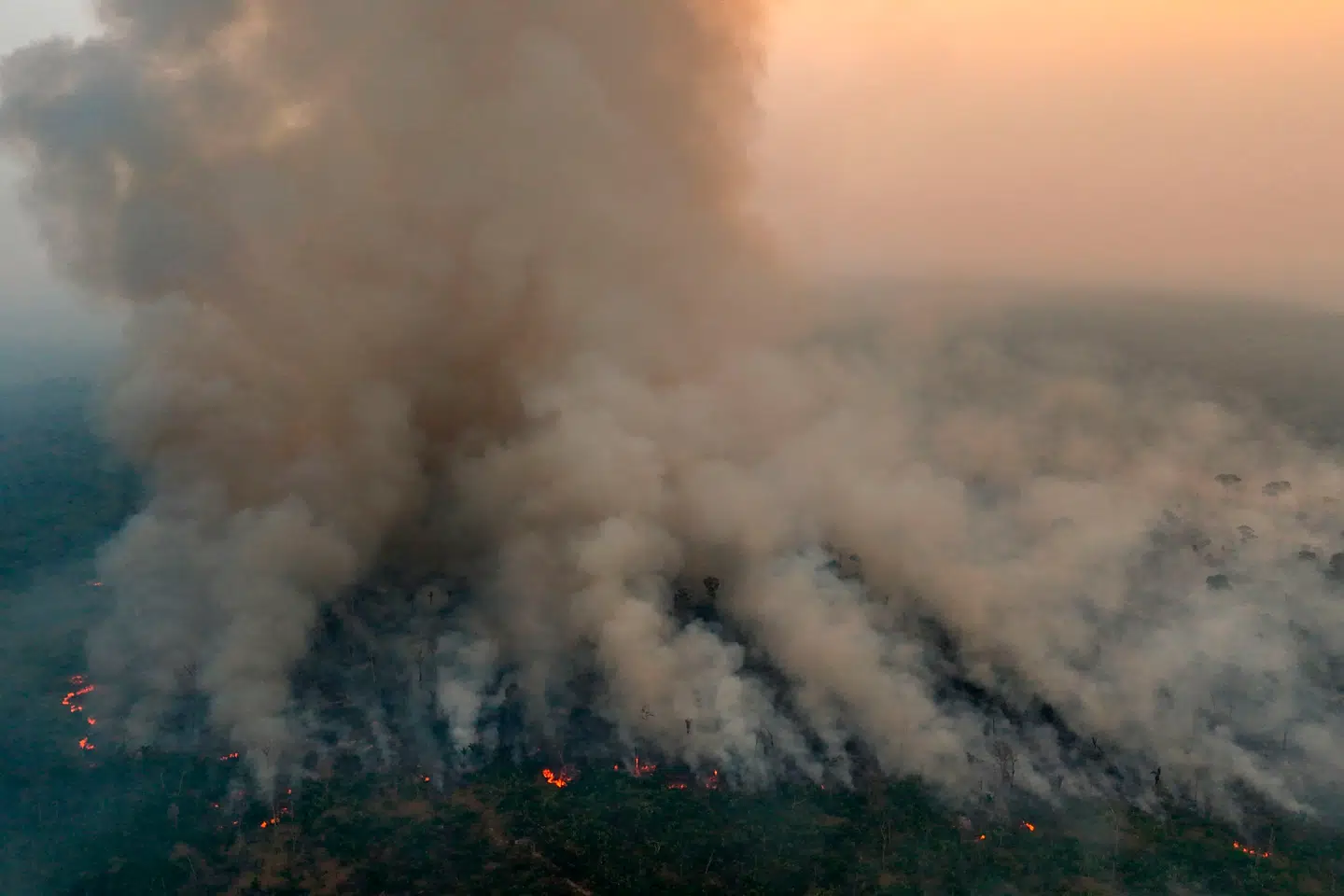Vi må godt være teknologirealister - men er vi for optimistiske, ender vi med at spille Jeopardy med en hel planet, mener kronikørerne. Arkivfoto: Michael Dantas/AFP/Ritzau Scanpix