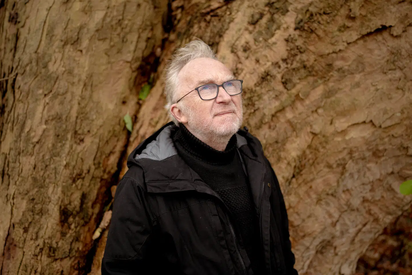 Da århundredets orkan ramte Danmark, indtraf alvoren sig i Jesper Theilgaard. Nu vil han have, at andre også vågner op. Foto: Asger Ladefoged