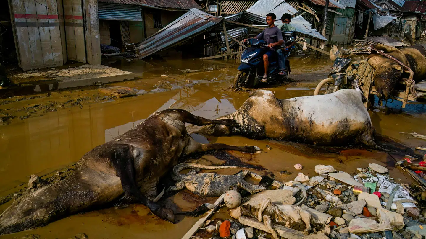 Øen Sumatra er ramt af slemme oversvømmelser.