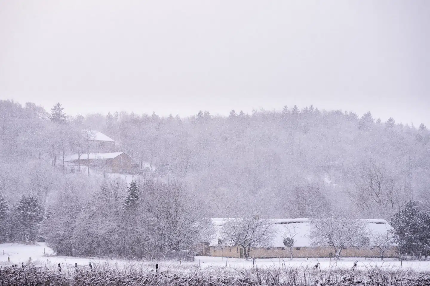 DMI's prognoser peger i retning af et vejrskift, som kan få temperaturen til at falde omkring jul. (Arkivfoto).