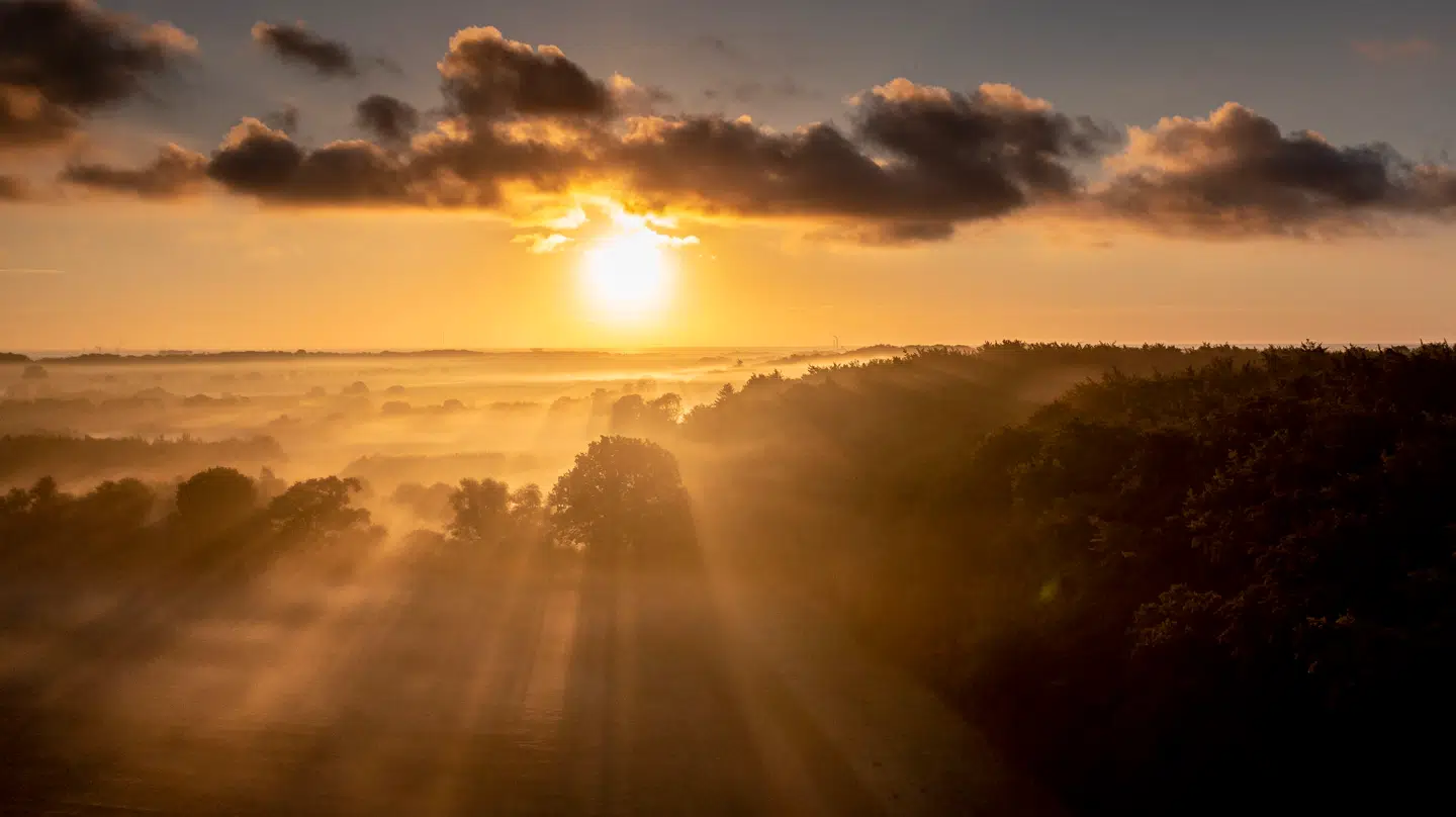Selvom december normalt byder på kulde og gråvejr, kan mandag give et sjældent glimt af sol og milde temperaturer.