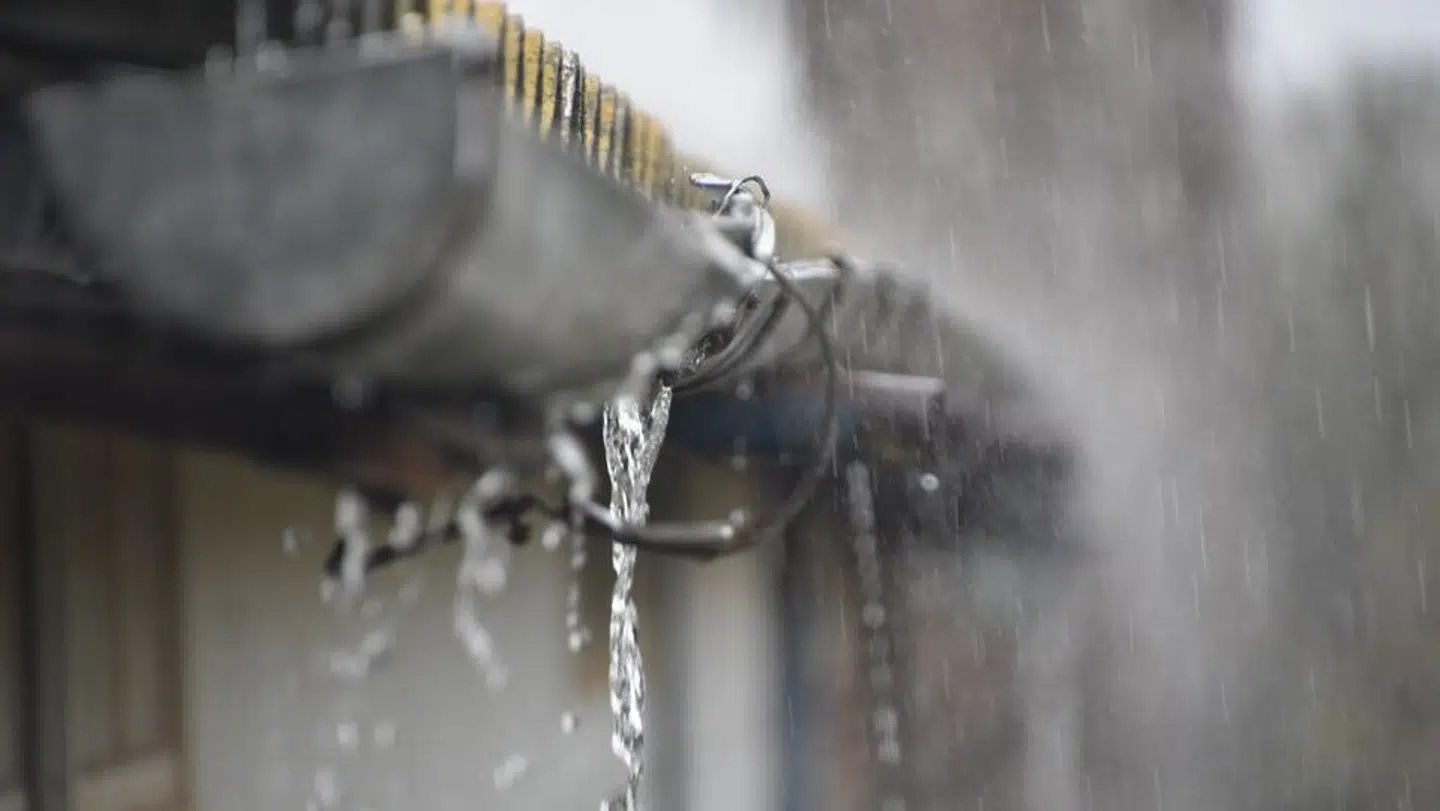 De seneste års våde vejr har ført til et stort antal nedbørsskader blandt landets boligejere.