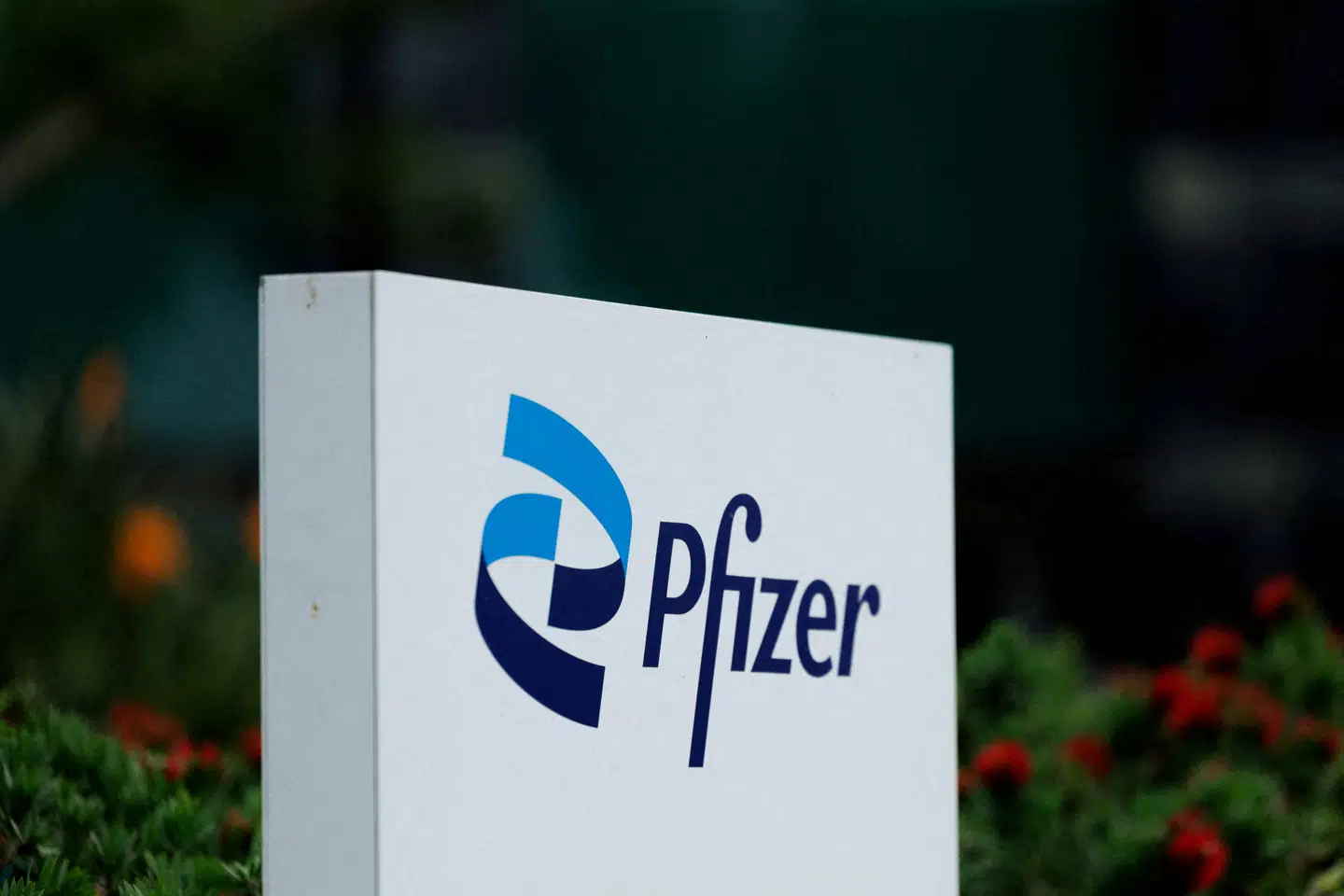 FILE PHOTO: A Pfizer logo is displayed at a research facility in the La Jolla neighborhood of San Diego, California, U.S., September 30, 2025. REUTERS/Mike Blake/File Photo