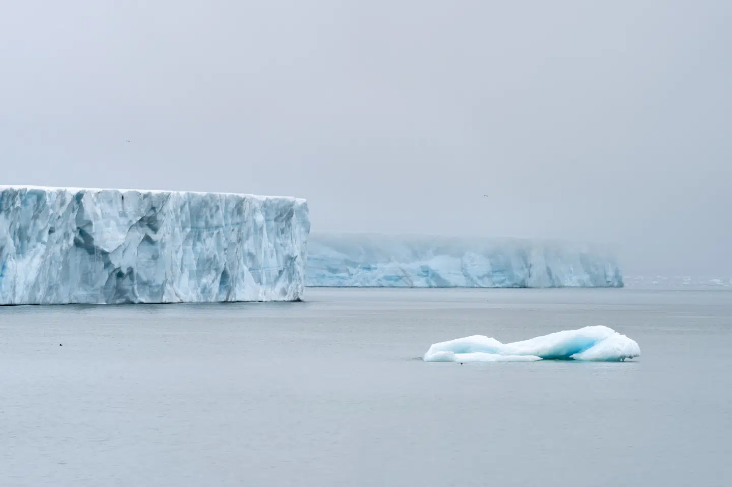 Det seneste år har budt på det varmeste efterår siden 1900, hvor temperaturmålinger begyndte. (Arkivfoto).