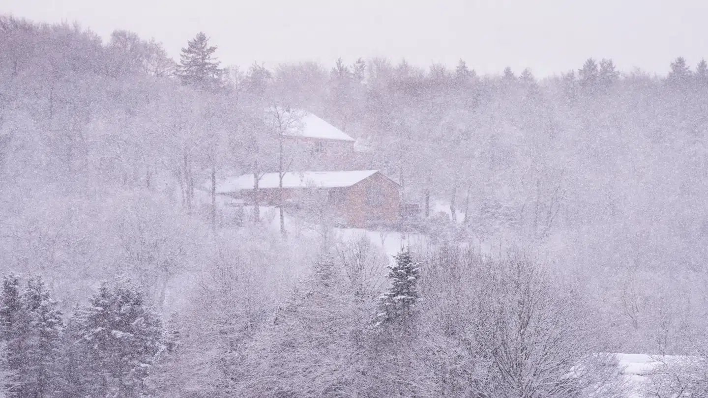 Hidtil har vi skullet kigge langt efter sneklædte landskaber denne vinter (arkivfoto).