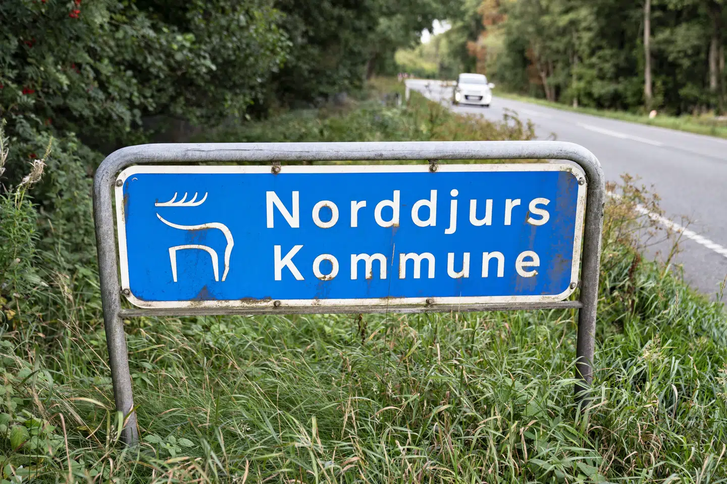Norddjurs Kommune bliver en DF'er færre, når den nye kommunalbestyrelse begynder sit arbejde 1. januar. (Arkivfoto).