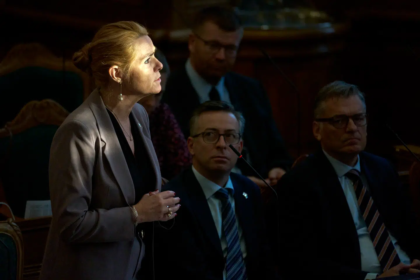 Inger Støjberg vil have permanent kontrol ved Danmarks grænser og en særskilt politienhed til at håndtere opgaven.