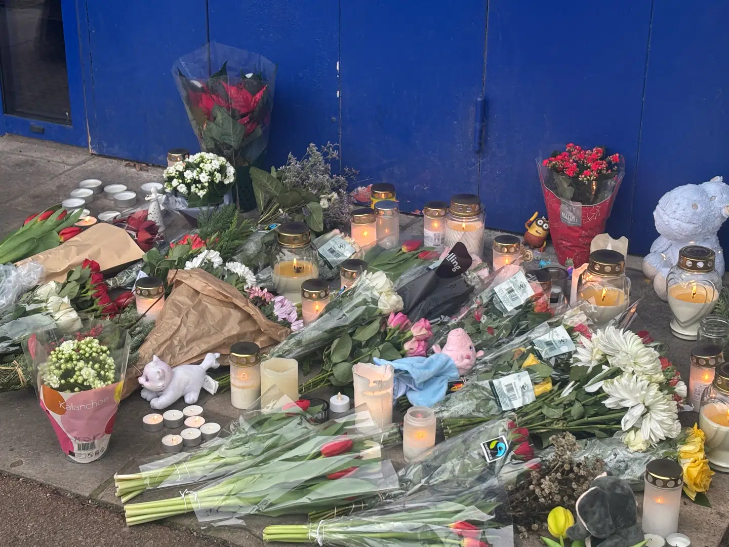 »Man kan jo være bange for, at sådan noget kan ske igen,« siger genboen Tove.