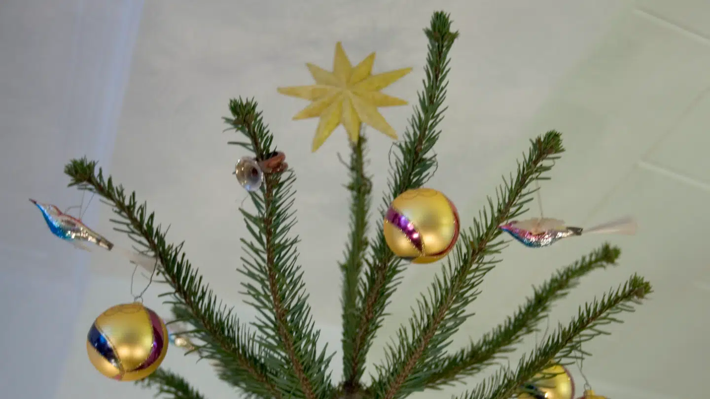 Juletræet er i forandring i de danske stuer.