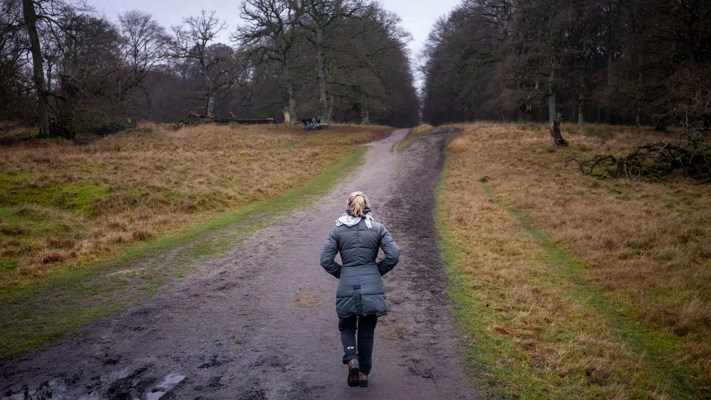 Anden juledag 26. december byder på »koldt og trist« gråvejr, der ikke vil være rart at være ude i. Så drop gåturen og hyg dig indenfor, lyder det fra DMIs vagthavende meteorolog.
