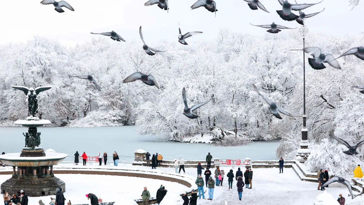 Den nationale vejrtjeneste i USA har udsendt en stormvarsel for New York.