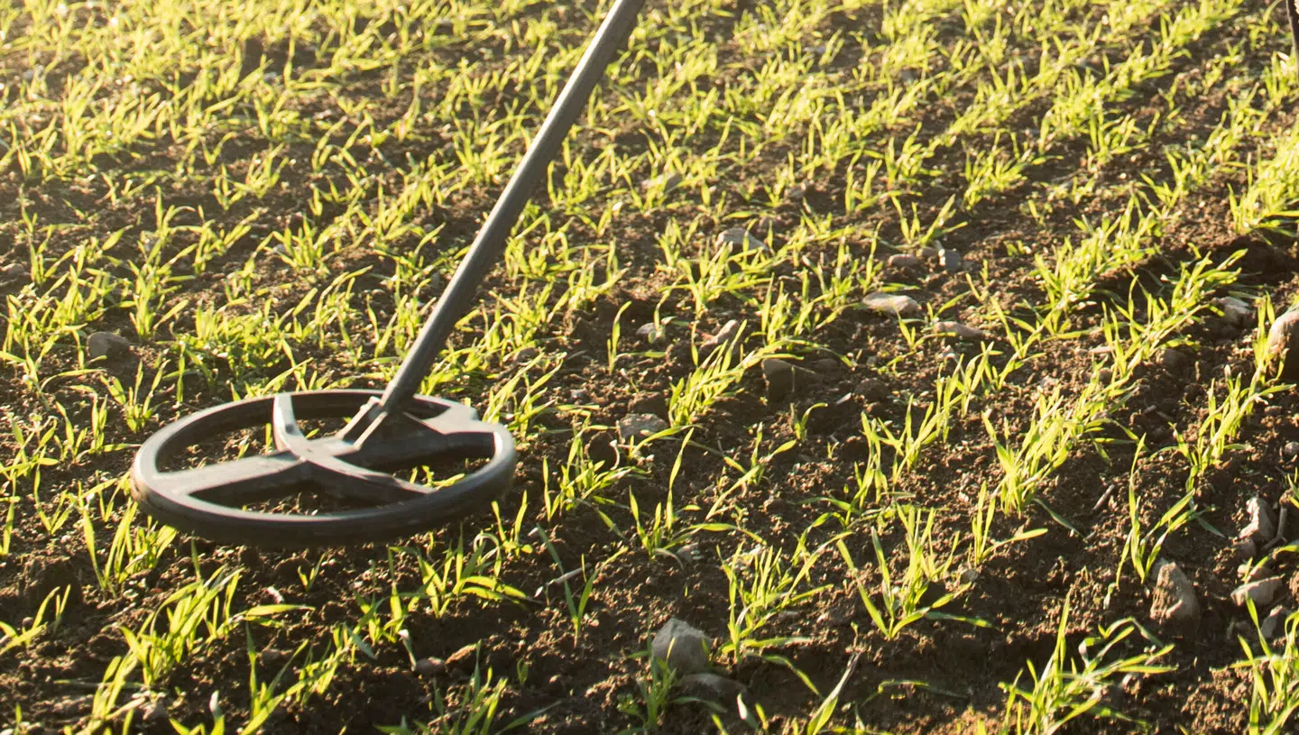Det var en metaldetektor som denne, den otte-årige dreng fredag var på jagt med.