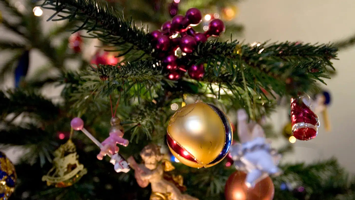 Rudersdal Kommune kommer med en særlig opfordring.