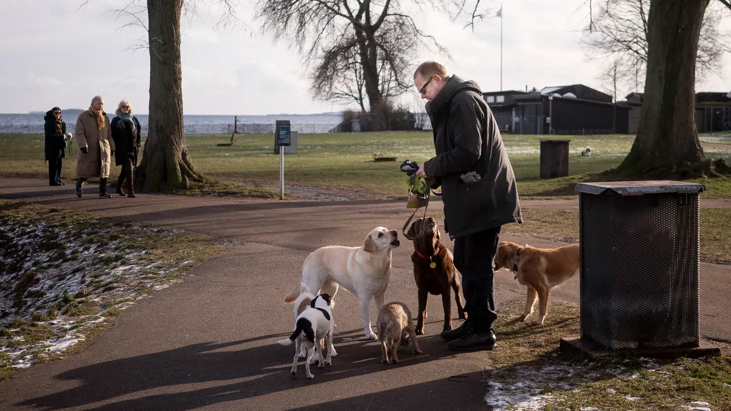 Der bliver rig mulighed for en rask travetur i søndagssolen.