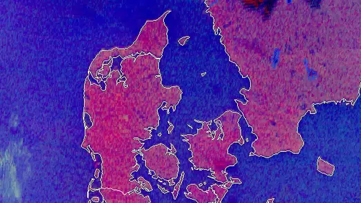 Danskerne står op til iskold morgen – og smuk vinterdag