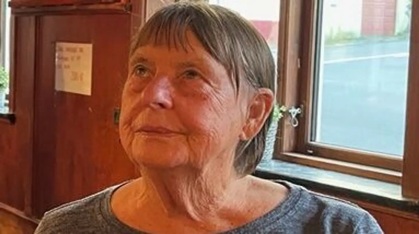 Her ses et billede af den savnede kvinde.