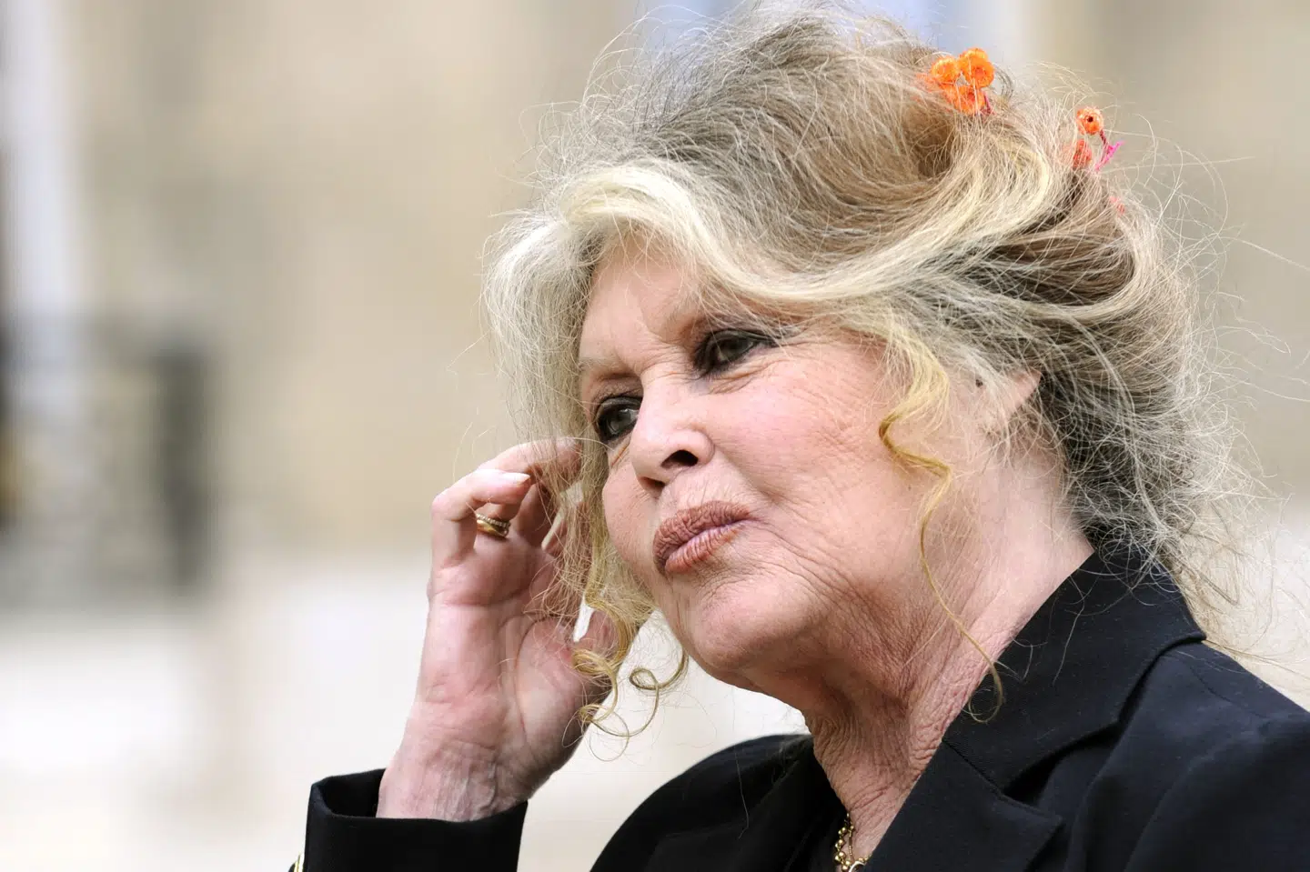 Brigitte Bardot har været indlagt flere gange i år, men forsikrede for mindre end en måned siden om, at hun var i bedring. (Arkivfoto).