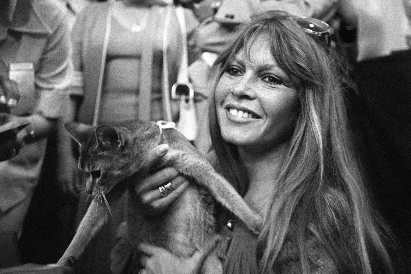 Brigitte Bardot blev en passioneret dyrerettighedsforkæmper efter sin skuespilkarriere. Her ses hun til en katteudstilling i Saint-Tropez i 1977. (Arkivfoto).