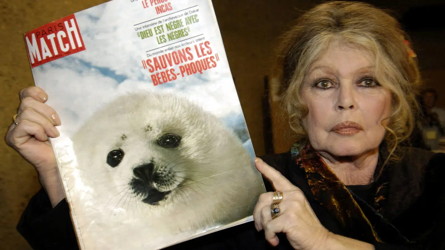 Brigitte Bardot var i sin levetid yderst aktiv som dyrerettighedsaktivist.