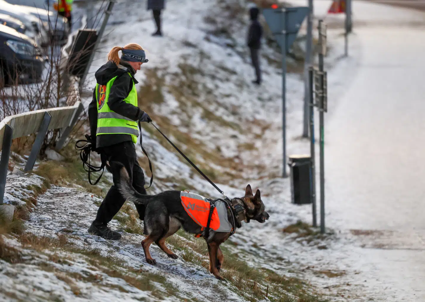 Lørdag ledte politiet efter den forsvundne kvinde med blandt andet hundepatruljer.