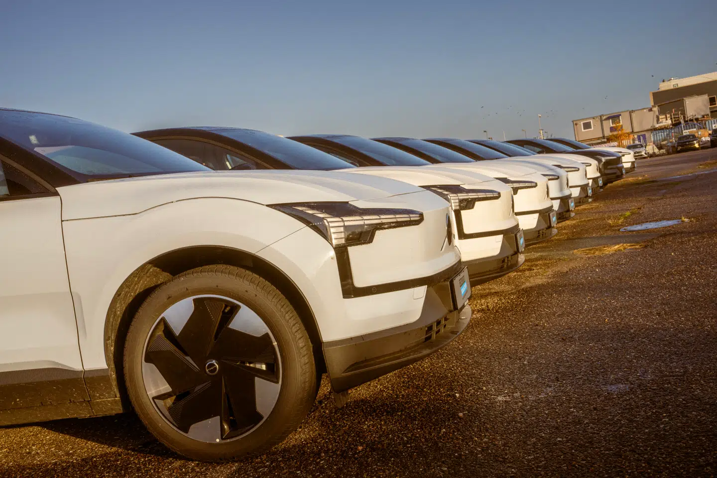 Hos Ejner Hessel i Valby har indkøber Kasper Ruager hjemtaget mange elbiler af mærket Volvo EX30, som sælges billigere end normalt.