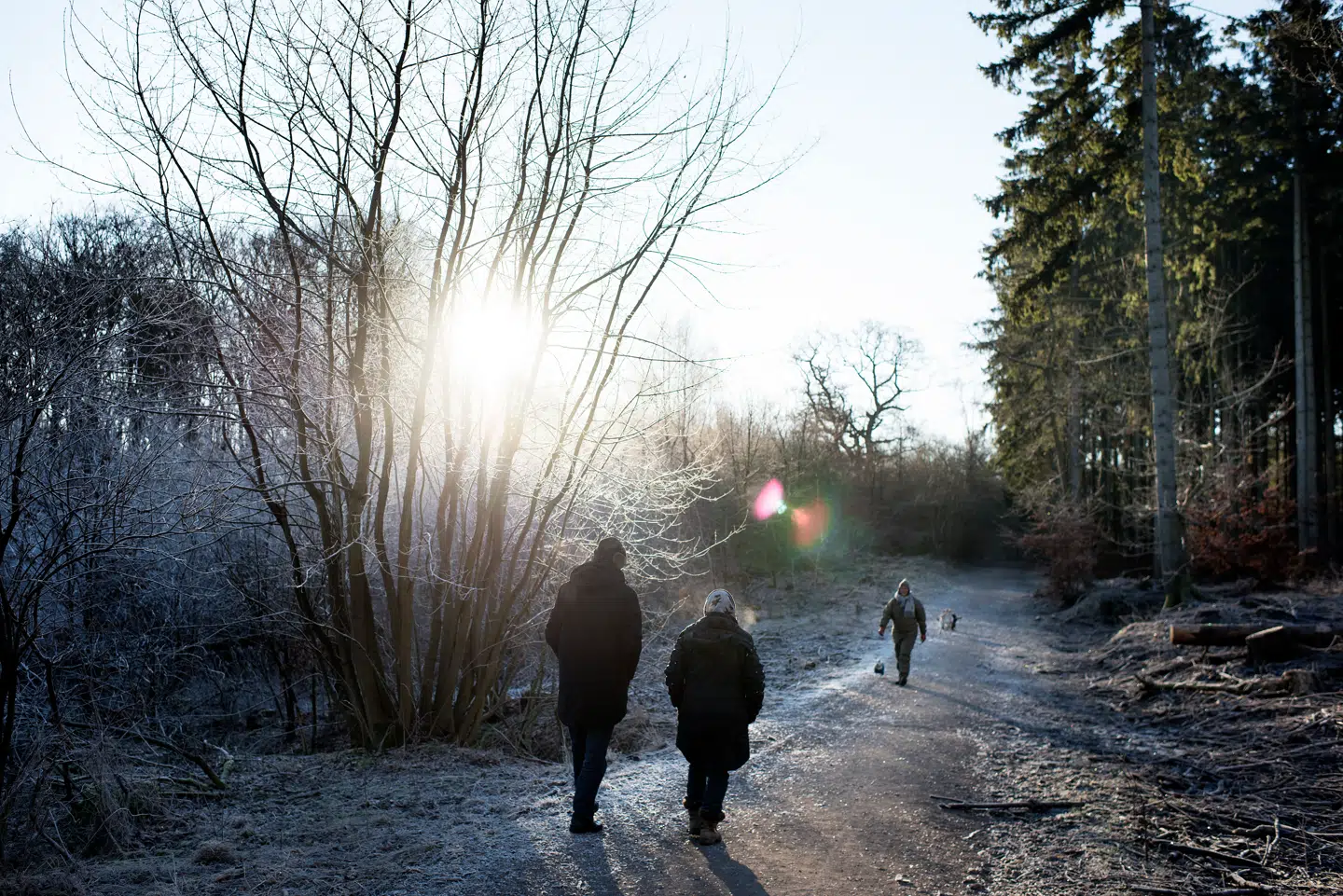 Årets sidste tirsdag bliver en kold og solrig dag. (Arkivfoto)