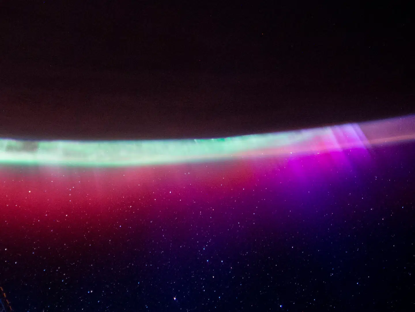 Canadiske biologer har opdaget, at et ultrasvagt lys omgav hele kroppen på hårløse mus, og at lyset hurtigt forsvandt, når musene døde. Arkivfoto: AFP, handout, Nasa