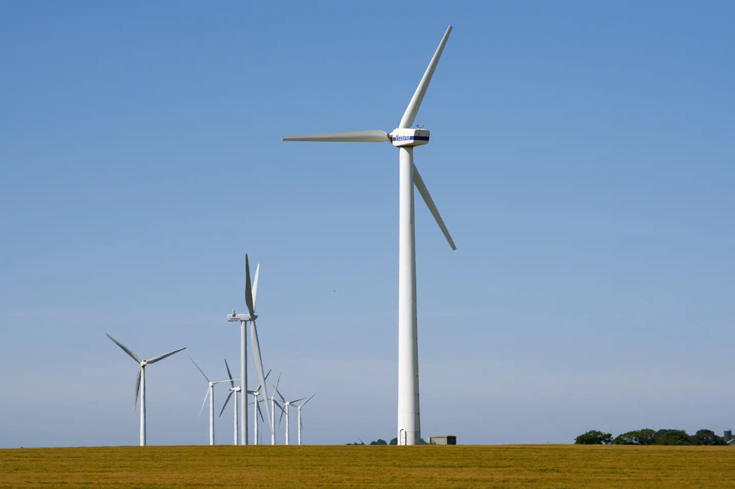 Vestas-aktien har i den grad luft under vingerne i 2025, hvor den er blevet 77 procent mere værd.