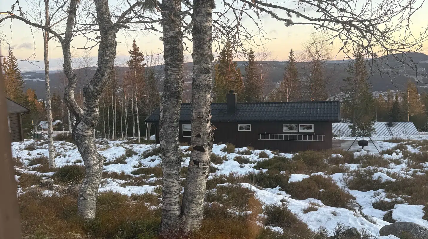 Udsigten fra parrets hytte.