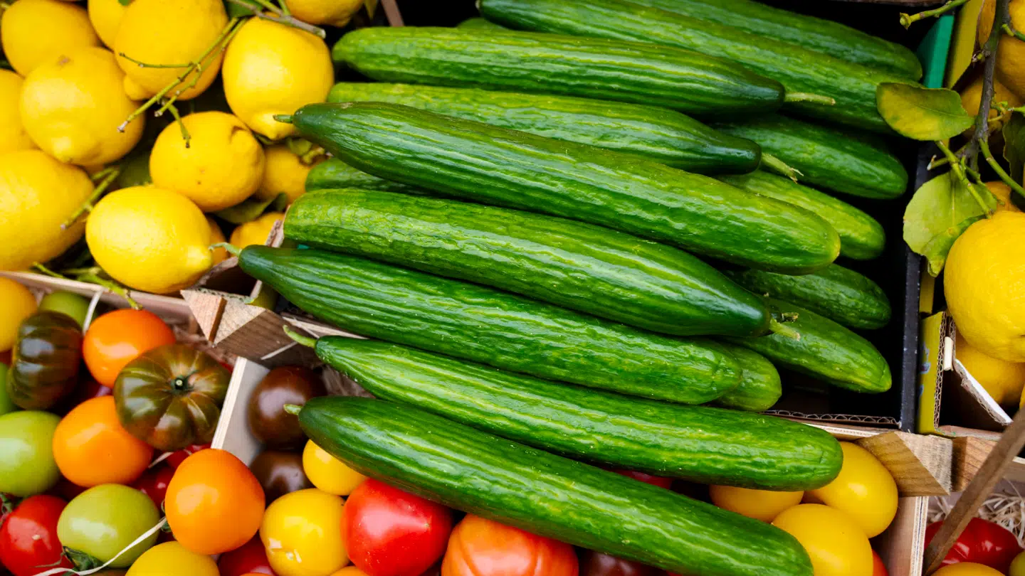 Det er faktisk dødeligt alvor, når der bliver talt om momsnedsættelse, lyder det fra koncernchef.