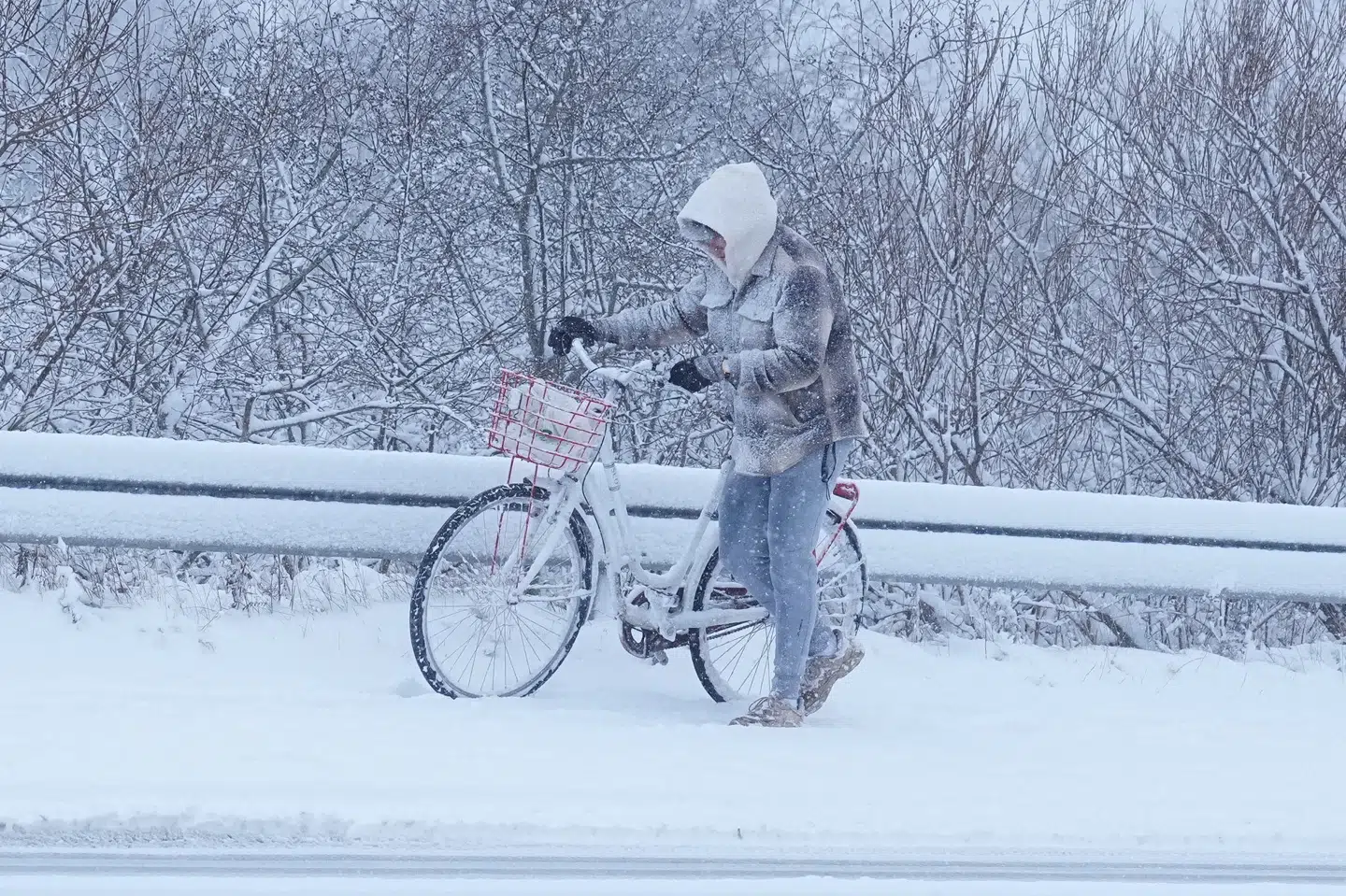 Weekenden står til at byde på sne flere steder i Danmark. Derfor opfordrer Vejdirektoratet til, at man kører efter forholdene. Allerede fredag er der faldet sne i Aalborg.