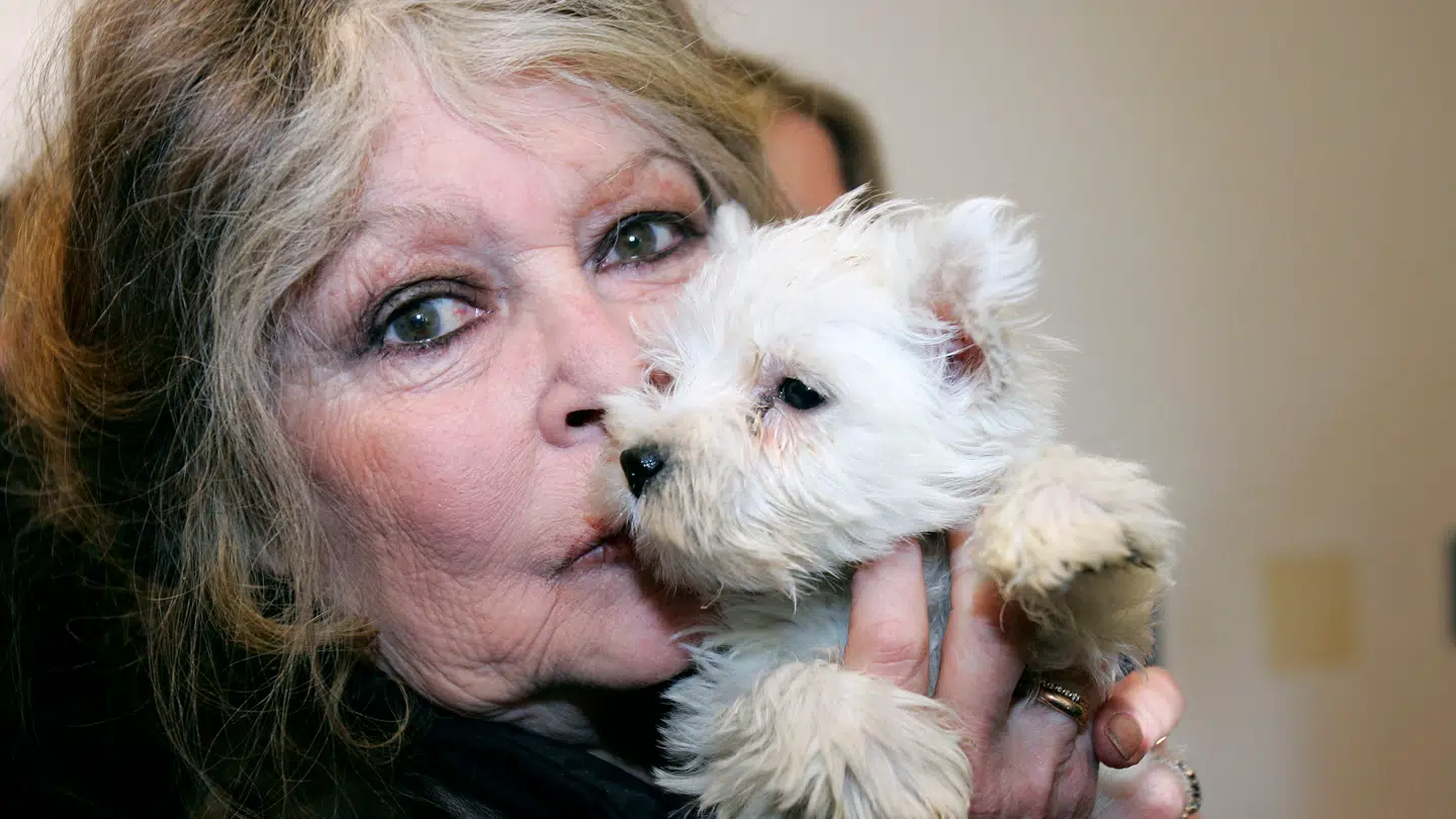 Brigitte Bardot udnyttes i en 'vulgært' svindelnummer.
