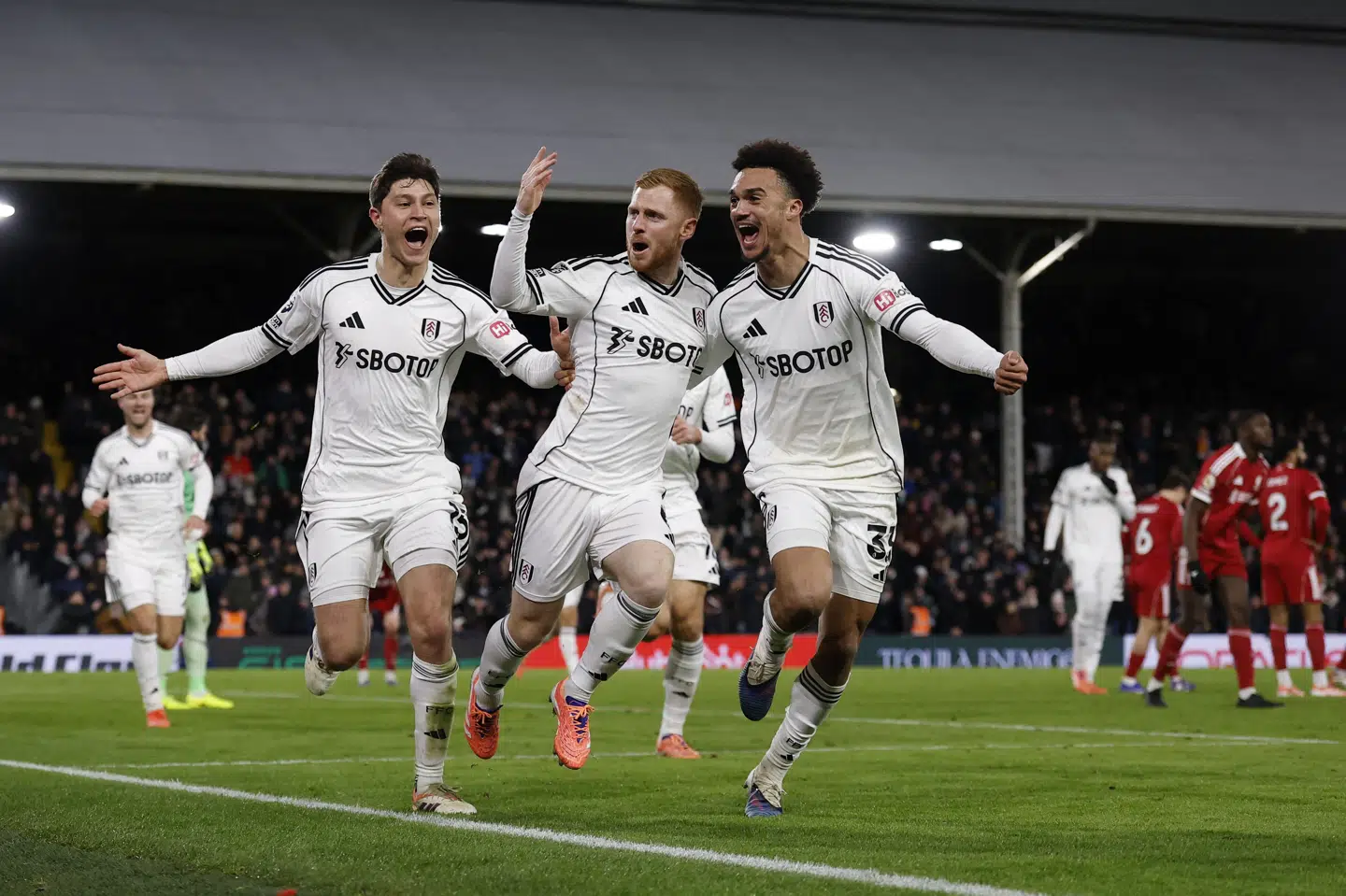 Fulham kunne juble over Harrison Reeds vilde mål til slut mod Liverpool.