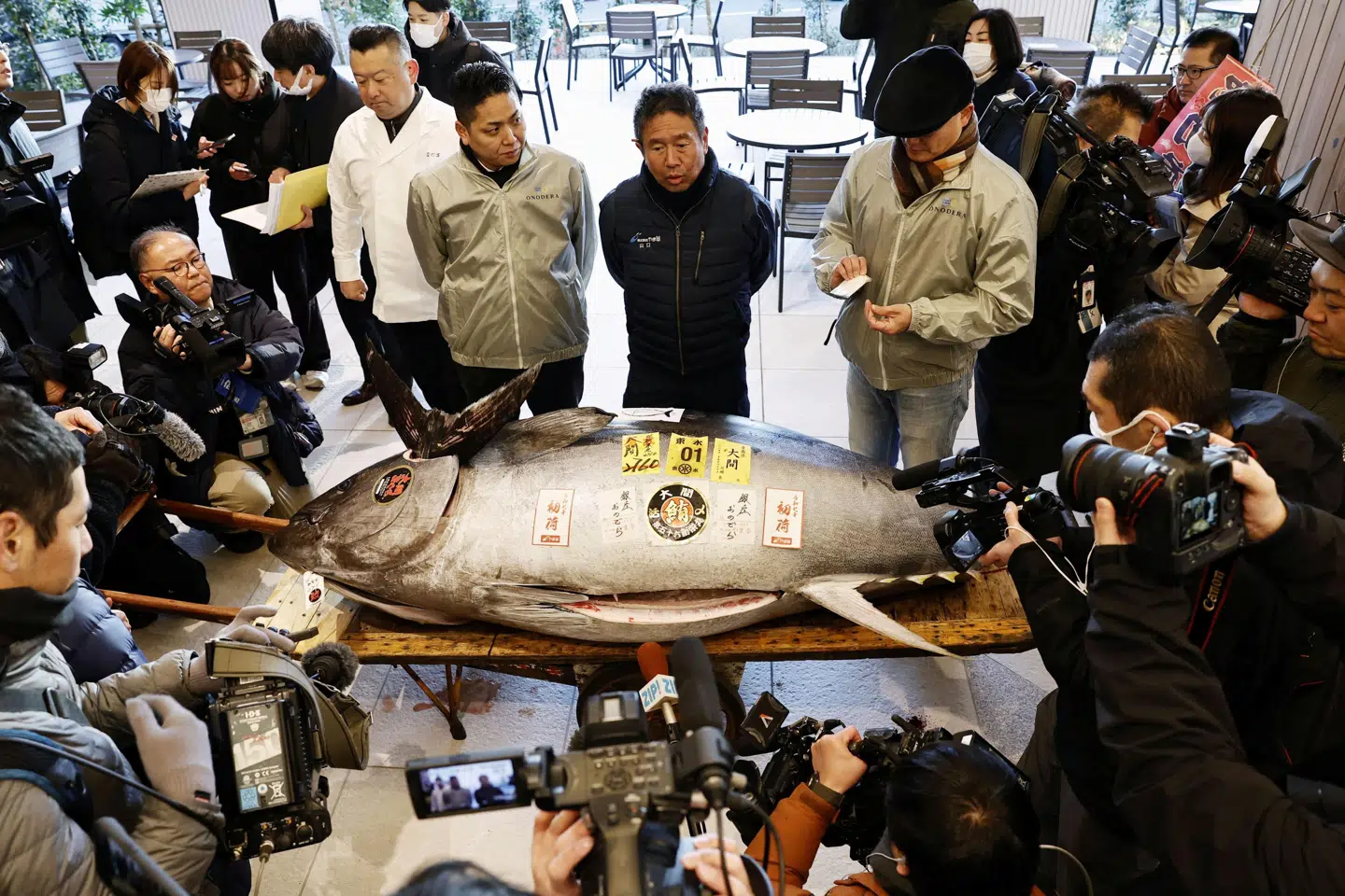 Mandag blev der på det japanske fiskemarked Toyoso i Tokyo solgt blåfinnet tun fanget ud for kysten i det nordlige Japan for millioner.