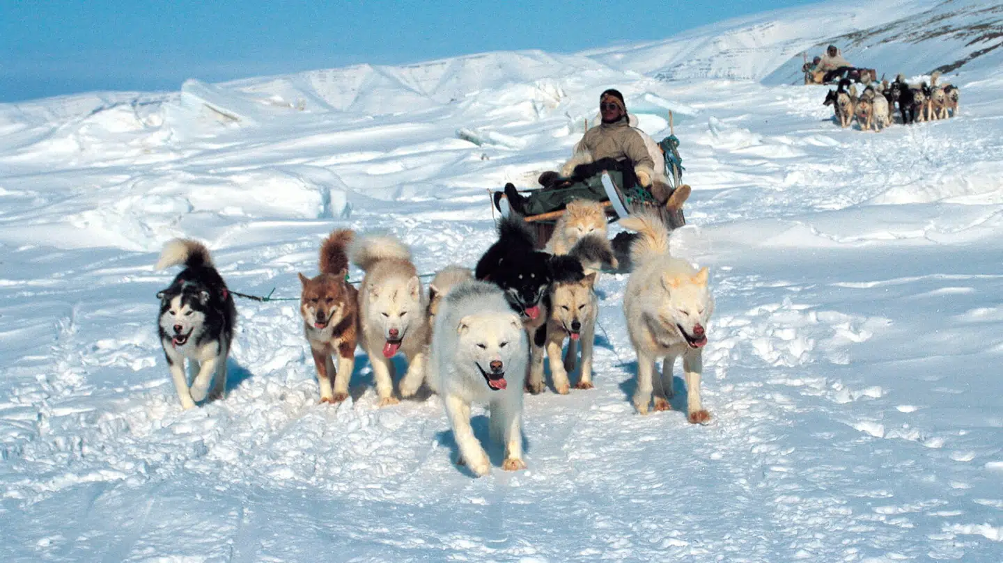 ARKIV-foto. Trump gør sig igen tilnærmelser mod Grønland.