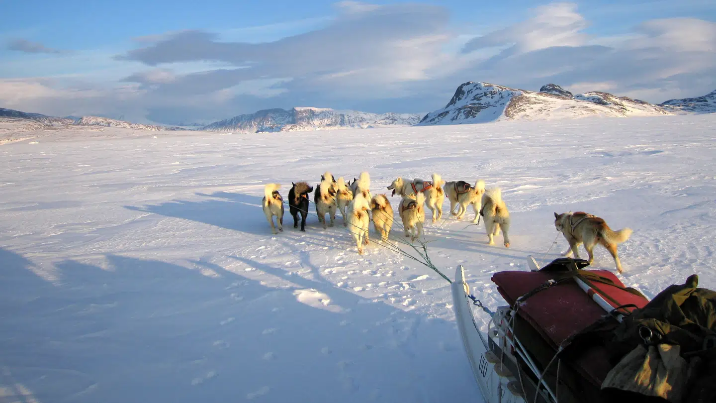 Ifølge Asger Fredslund vil USA æde Grønland, hvis grønlænderne trykker på selvstændighedsknappen, og Danmark slipper grebet.