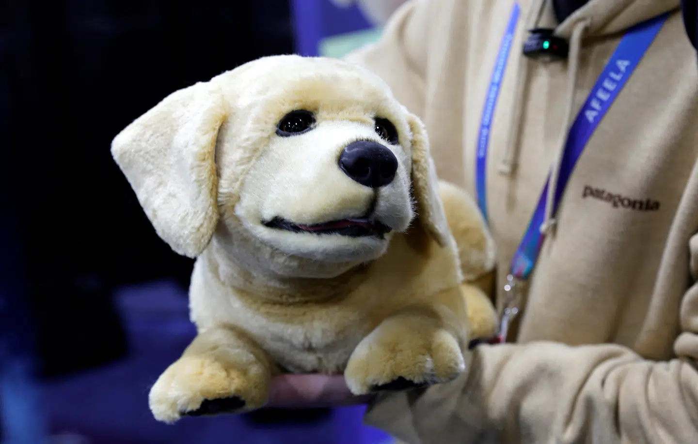 Den skal udelukkende fodres med strøm – så er robothunden Jennie klar til at blive kælet med og dermed hjælpe blandt andre ældre. Jennie er en af mange nyskabelser på verdens største forbrugerelektronikmesse, som holdes i denne uge.