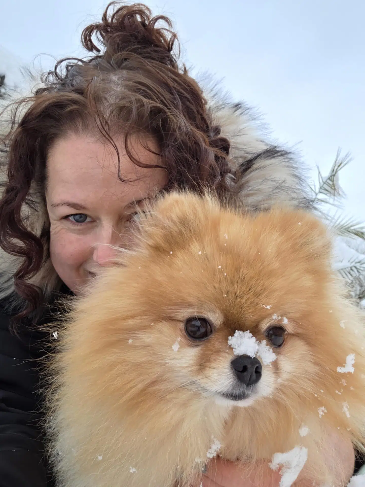 Selv i onsdagens snevejr vil lille Ellie ud og gå med sin ejer Pernille Thisted. Foto: Privat